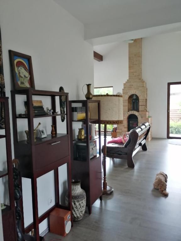 Дома для отпуска Casa Bunicii Sindreşti-15